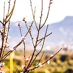 Apartment Topview Nafplio