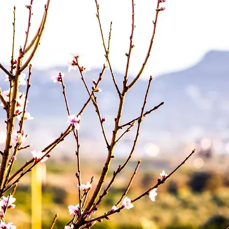Apartament Topview Nauplion