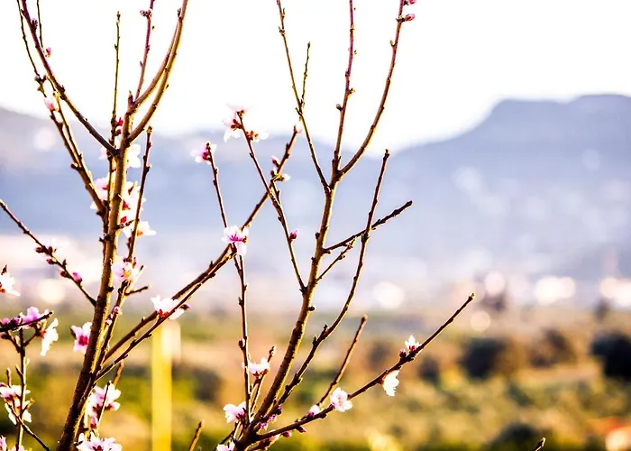 公寓 Topview 纳夫普利翁